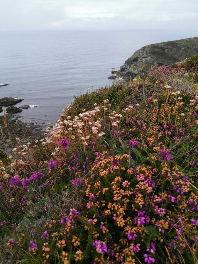 Captivating Isolde Cottage With Pool Near St Ives Camborne Exterior foto